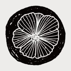 Flower doodle N298