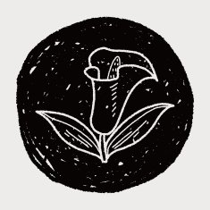 Flower doodle N303