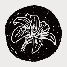 Flower doodle N305