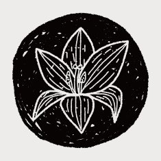 Flower doodle N312