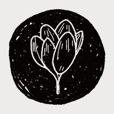 Flower doodle N313