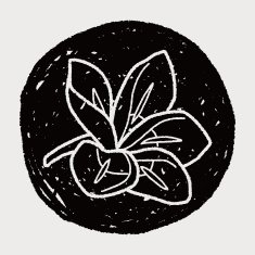 Flower doodle N316