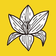 Flower doodle N360