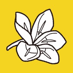 Flower doodle N364