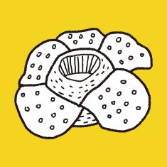 Flower doodle N367
