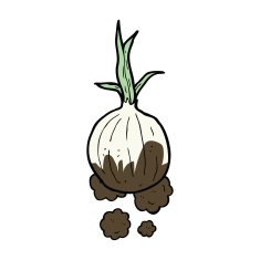 cartoon organic onion N6