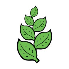 cartoon leaves N6