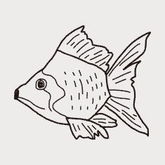 Goldfish doodle N3