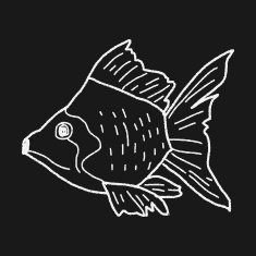 Goldfish doodle N4