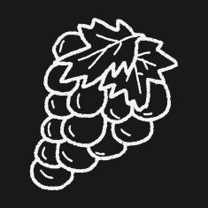 grape doodle N4