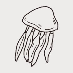Jellyfish doodle N5
