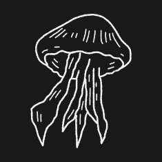 Jellyfish doodle N8