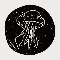 Jellyfish doodle N12