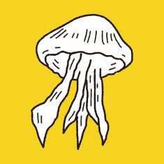 Jellyfish doodle N14