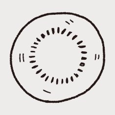 kiwi doodle N5