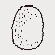 kiwi doodle N6