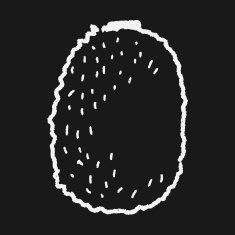 kiwi doodle N8