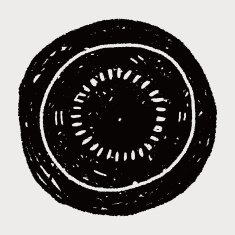 kiwi doodle N11