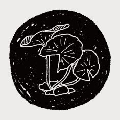 Lotus leaf doodle N6