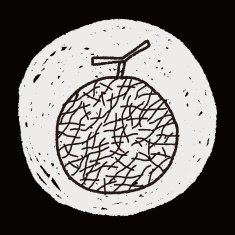 melon doodle N5