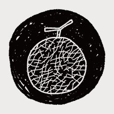 melon doodle N6