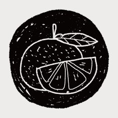 orange doodle N11