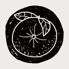 orange doodle N12