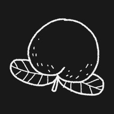 peach doodle N5