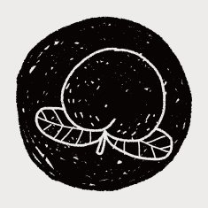 peach doodle N9