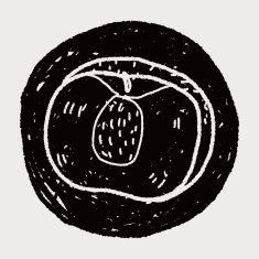 peach doodle N10