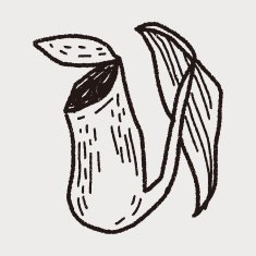 plant doodle N153
