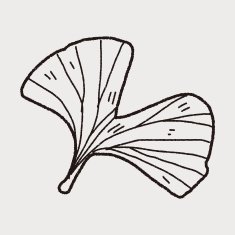 plant doodle N156
