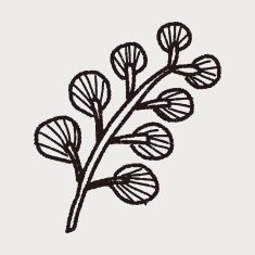 plant doodle N157