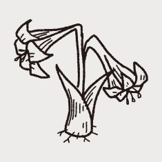 plant doodle N158