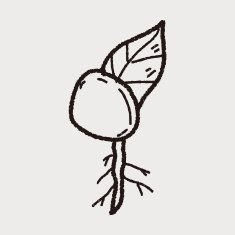 plant doodle N159