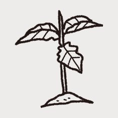 plant doodle N164