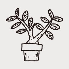 plant doodle N170