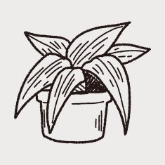 plant doodle N172