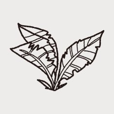 plant doodle N183