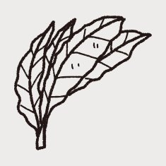 plant doodle N193