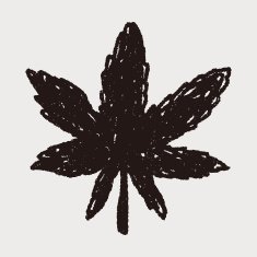 plant doodle N194
