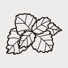 plant doodle N195