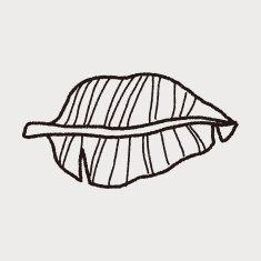 plant doodle N202