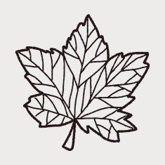 plant doodle N203