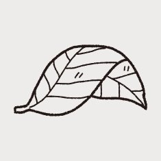 plant doodle N204
