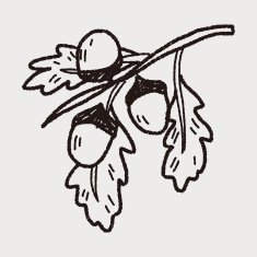 plant doodle N205