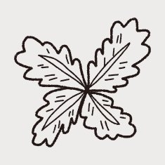 plant doodle N206