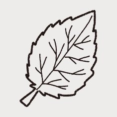 plant doodle N209