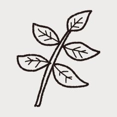 plant doodle N210