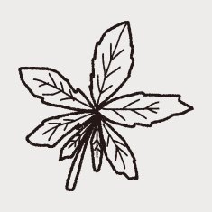 plant doodle N212